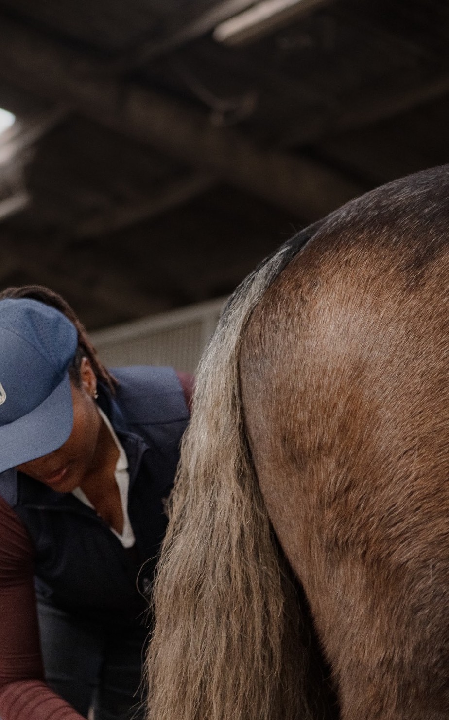 A horse's hindquarters and tail in the yard
