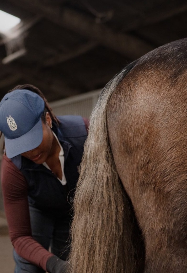 A horse groomed in the barn aisle