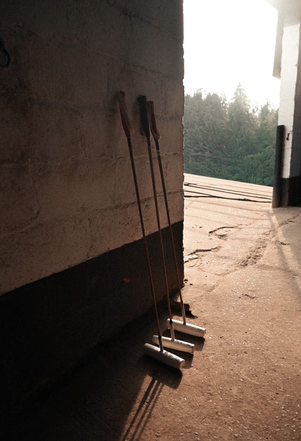Polo mallets leaning against a wall in evening light