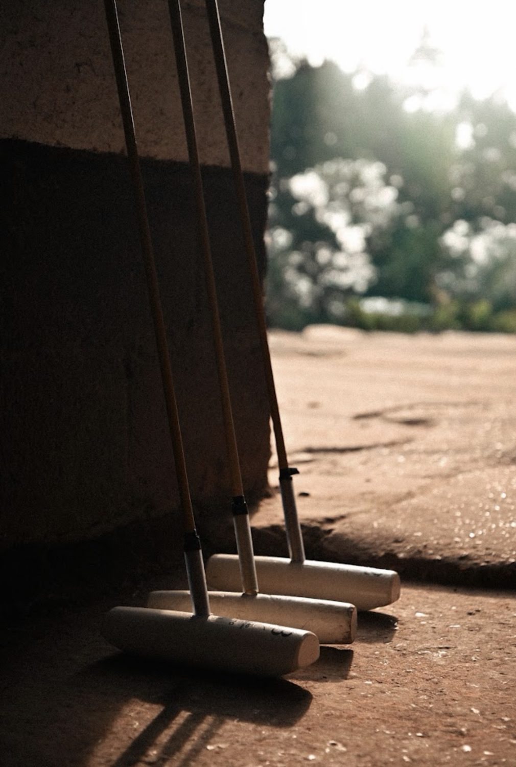 Polo mallet heads in evening light